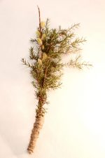 Velykinė, tradicinė verba